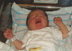 Sadie one day 01a.JPG (111334 bytes)