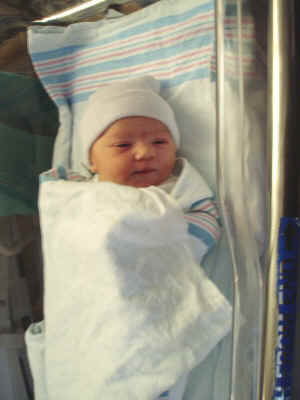 Sadie one day 05a.JPG (108378 bytes)