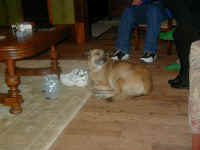 XMAS01-12.jpg (143538 bytes)